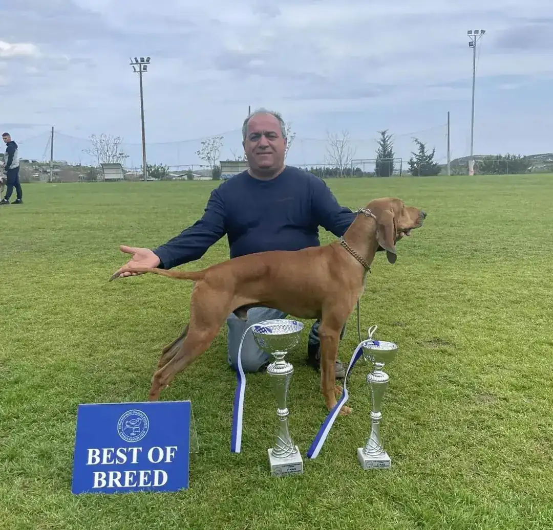 Andreas Demetriou with a Best of Breed winner and its trophies, 2024