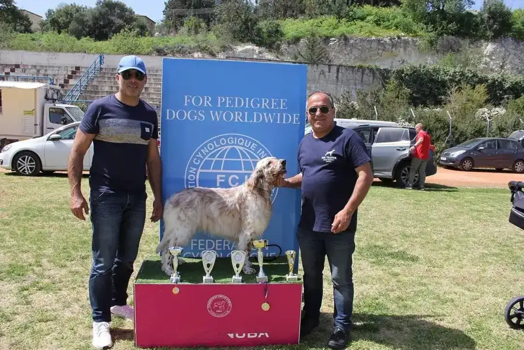 Andreas Demetriou with an English Setter on the podium at the International Dog Show 2022