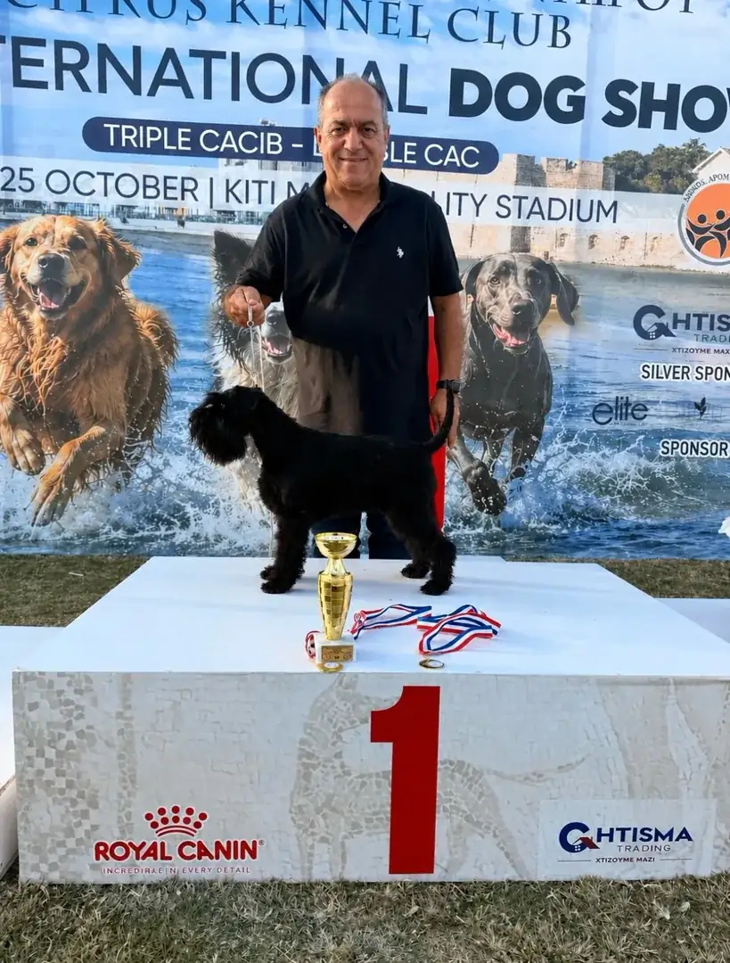 Andreas Demetriou with Bianca, the Black Miniature Schnauzer that secured the Cyprus Champion title at the Cyprus Kennel Club International Dog Shows in Kiti, October 2026
