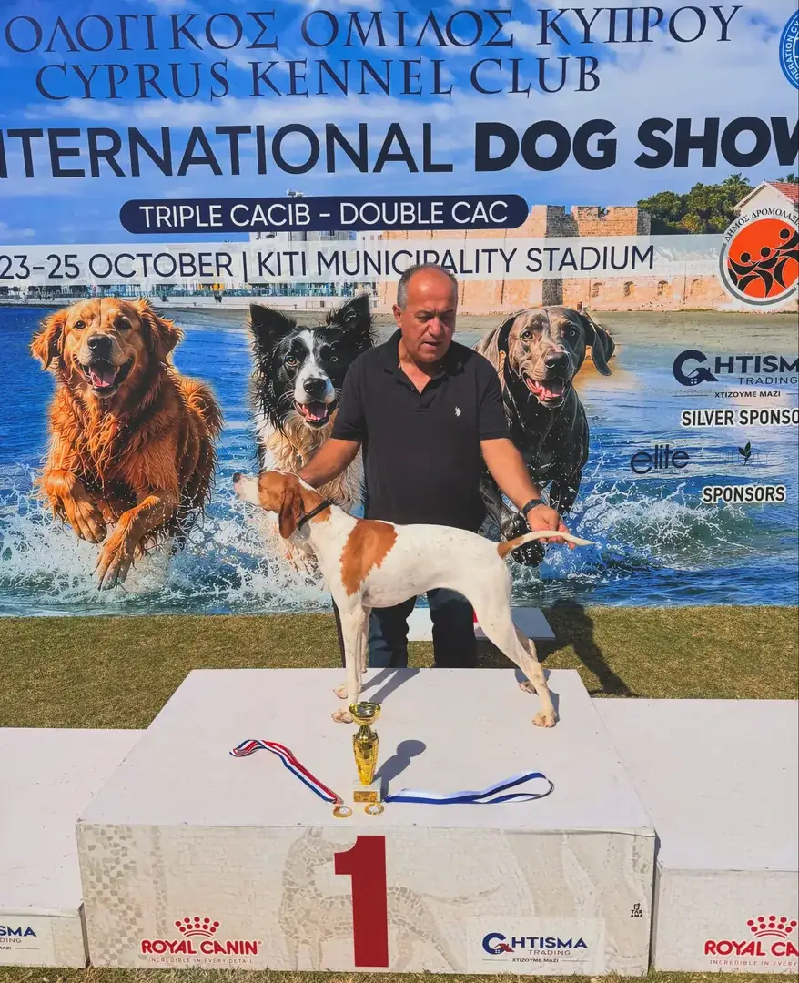 Aria vom Stefanis Kennel, an English Pointer, on the first-place podium with Andreas Demetriou at the National Dog Show in Kiti, 24 October 2026